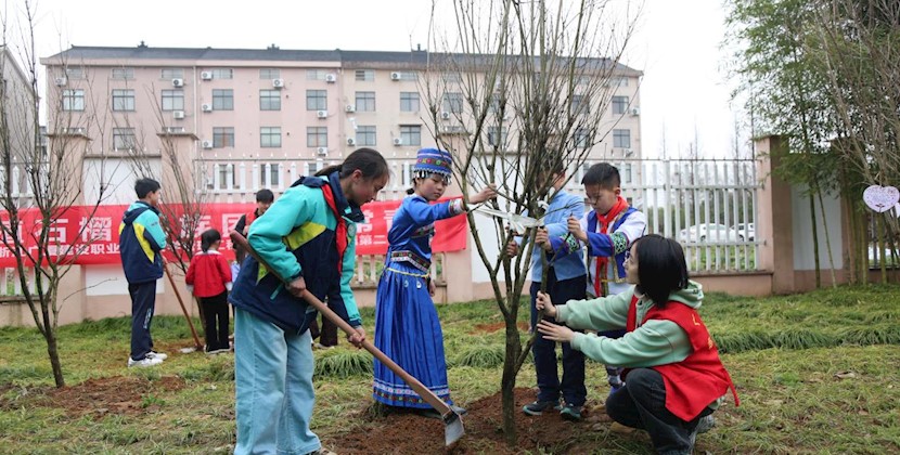 大手小手植石榴，民族团结树常青