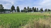 喜报｜我院获批2025年金华市科技局项目1项